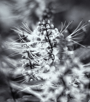 Uber Exif Photo