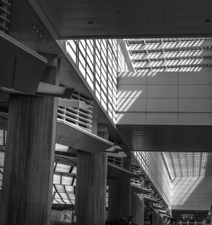 Uber Exif Photo