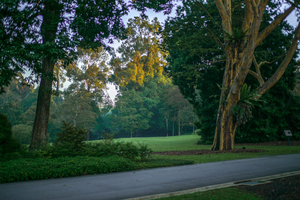 Uber Exif Photo