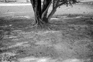 Uber Exif Photo