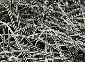 Uber Exif Photo
