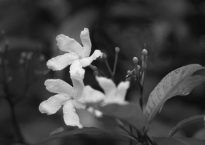 Uber Exif Photo