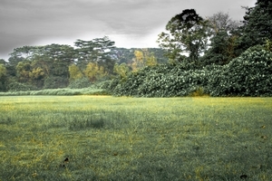 Uber Exif Photo