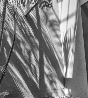Uber Exif Photo
