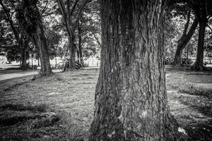 Uber Exif Photo