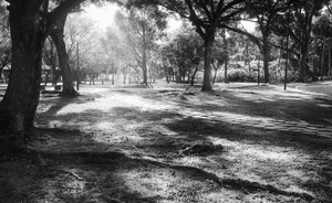 Uber Exif Photo