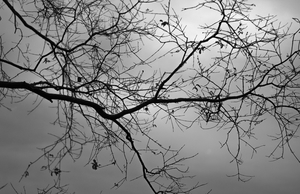 Uber Exif Photo