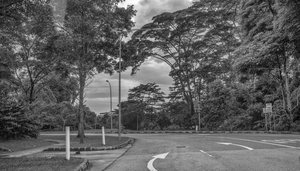 Uber Exif Photo