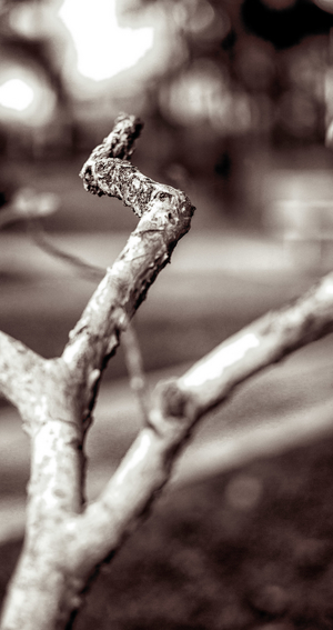 Uber Exif Photo