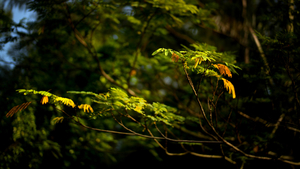 Uber Exif Photo