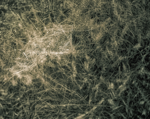 Uber Exif Photo