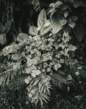 Uber Exif Photo