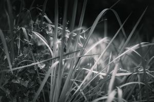 Uber Exif Photo