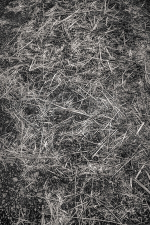 Uber Exif Photo