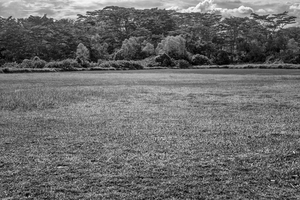 Uber Exif Photo