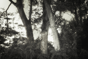 Uber Exif Photo