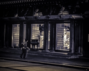 Uber Exif Photo