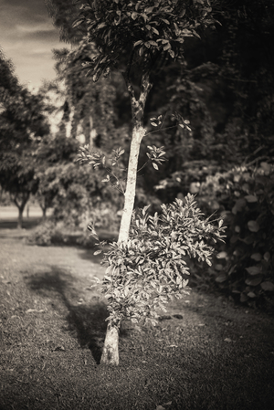 Uber Exif Photo