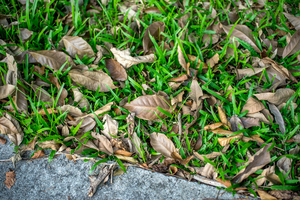 Uber Exif Photo