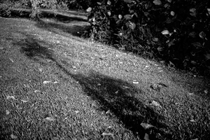 Uber Exif Photo