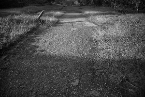 Uber Exif Photo