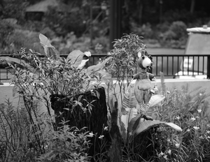 Uber Exif Photo
