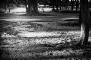 Uber Exif Photo