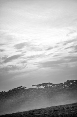 Uber Exif Photo