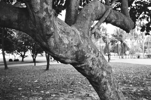 Uber Exif Photo