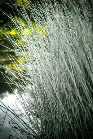 Uber Exif Photo