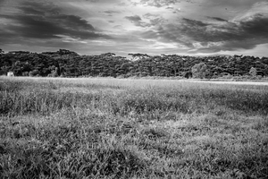 Uber Exif Photo