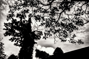 Uber Exif Photo