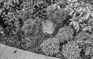 Uber Exif Photo
