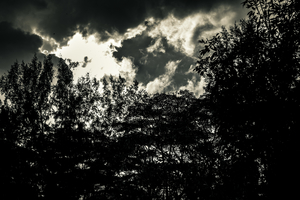 Uber Exif Photo