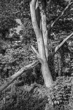 Uber Exif Photo