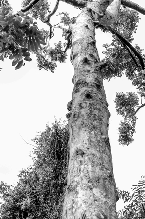 Uber Exif Photo