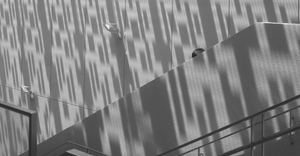 Uber Exif Photo