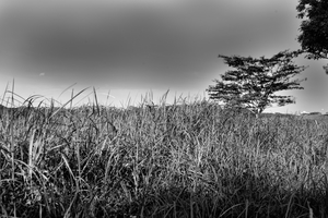 Uber Exif Photo