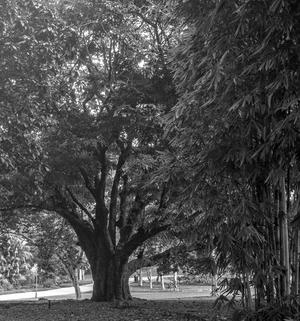Uber Exif Photo