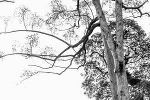 Uber Exif Photo