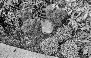 Uber Exif Photo