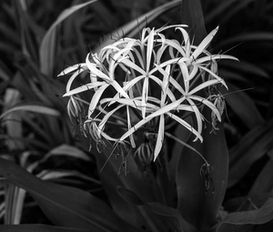 Uber Exif Photo