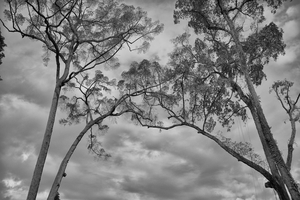Uber Exif Photo