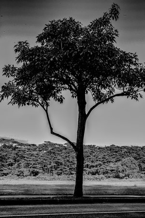 Uber Exif Photo