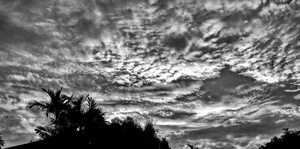 Uber Exif Photo