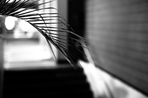 Uber Exif Photo