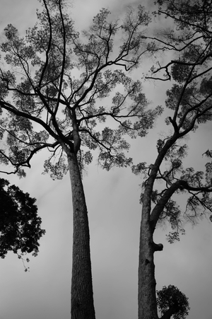 Uber Exif Photo