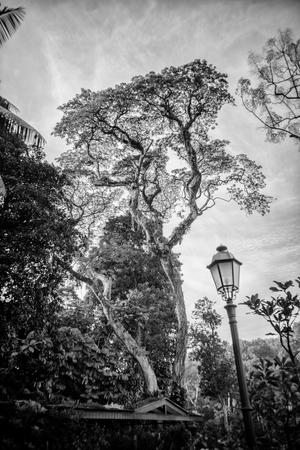 Uber Exif Photo