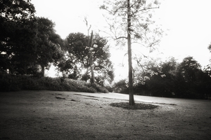 Uber Exif Photo