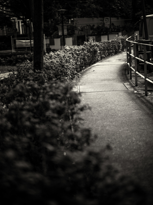 Uber Exif Photo